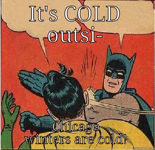 IT'S COLD OUTSI- CHICAGO WINTERS ARE COLD! Batman Slapping Robin