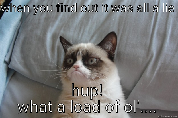 WHEN YOU FIND OUT IT WAS ALL A LIE HUP! WHAT A LOAD OF OL'.... Grumpy Cat