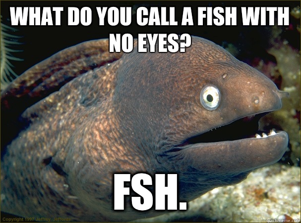 What do you call a fish with no eyes? Fsh.  Bad Joke Eel