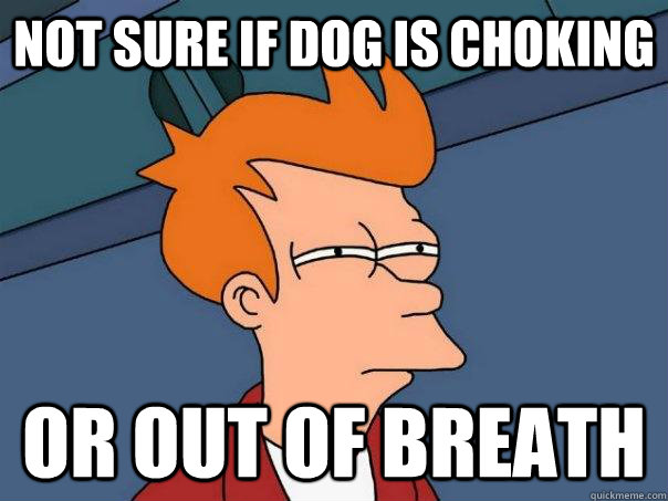 Not sure if dog is choking  Or out of breath - Not sure if dog is choking  Or out of breath  Futurama Fry