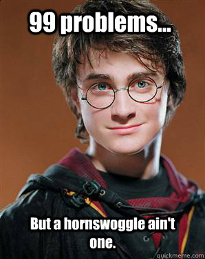 99 problems... But a hornswoggle ain't one.  Harry potter