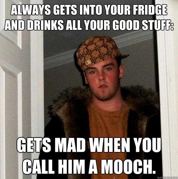 always gets into your fridge and drinks all your good stuff: gets mad when you call him a mooch.  Scumbag Steve