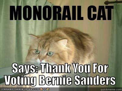  SAYS: THANK YOU FOR VOTING BERNIE SANDERS Misc