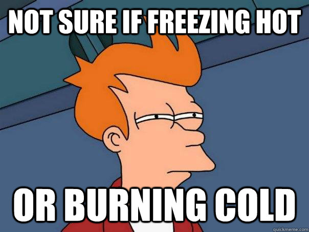 Not sure if freezing hot Or burning cold  Futurama Fry