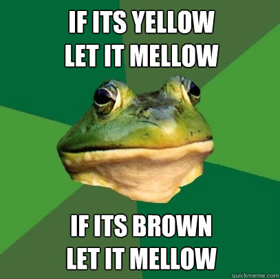 If its yellow
let it mellow if its brown
let it mellow  Foul Bachelor Frog