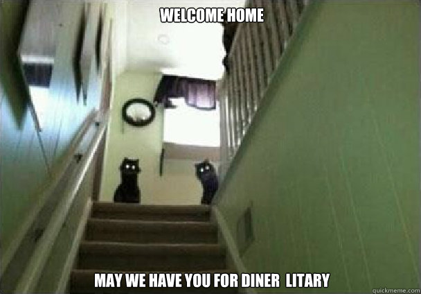  Welcome home   May we have you for diner  LItary  creepy cats