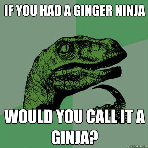 If you had a ginger ninja would you call it a ginja?  Philosoraptor