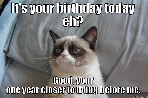 IT'S YOUR BIRTHDAY TODAY EH? GOOD, YOUR ONE YEAR CLOSER TO DYING BEFORE ME. Grumpy Cat