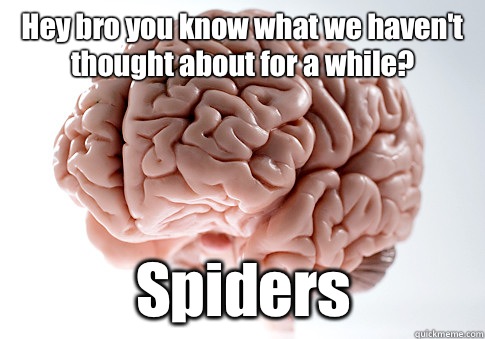 Hey bro you know what we haven't thought about for a while? Spiders  Scumbag Brain