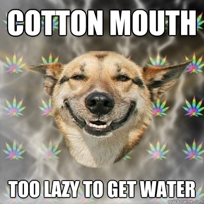 cotton mouth too lazy to get water  Stoner Dog