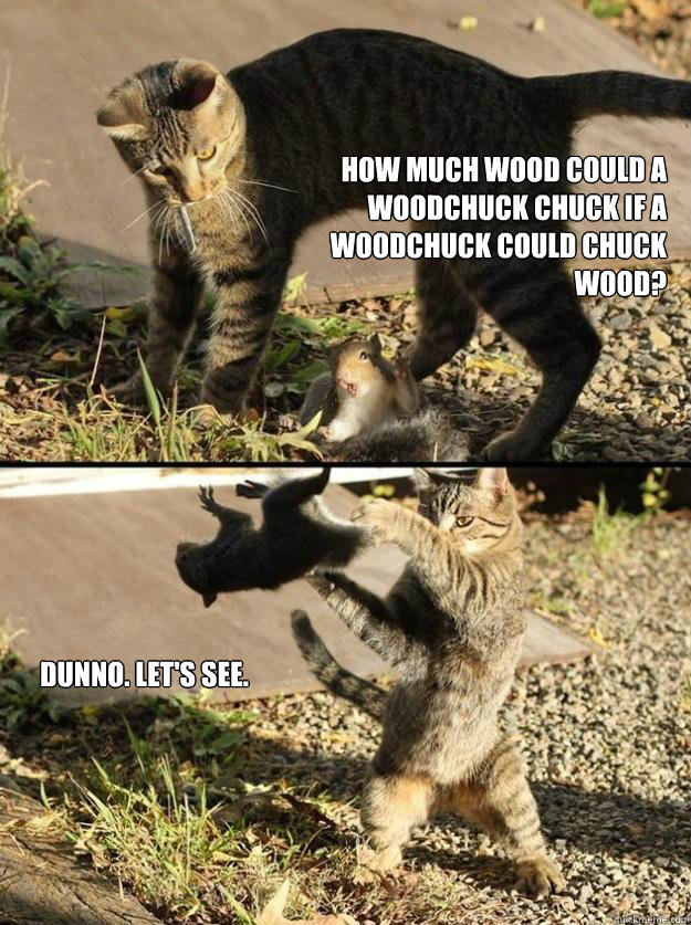 How much wood could a woodchuck chuck if a woodchuck could chuck wood? Dunno. Let's see.  Annoying Squirrel