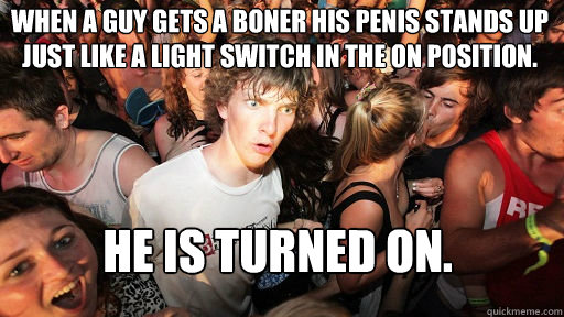 when a guy gets a boner his penis stands up just like a light switch in the on position. he is turned on.  Sudden Clarity Clarence