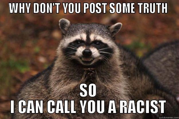 WHY DON'T YOU POST SOME TRUTH SO I CAN CALL YOU A RACIST Evil Plotting Raccoon