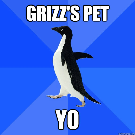 Grizz's PET  y0  Socially Awkward Penguin