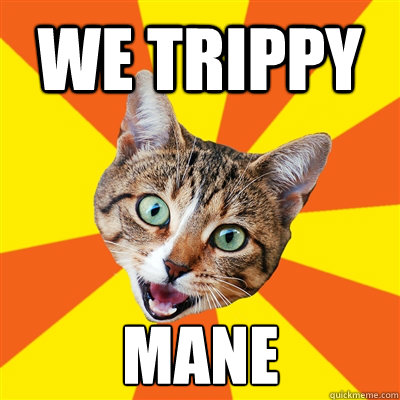 We Trippy  MANE  Bad Advice Cat