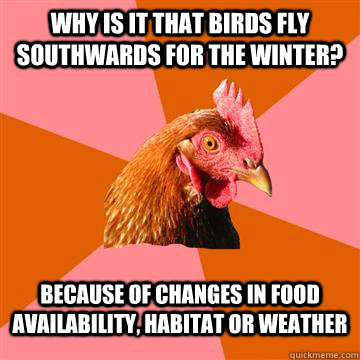 Why is it that birds fly southwards for the winter?  because of changes in food availability, habitat or weather  Anti-Joke Chicken