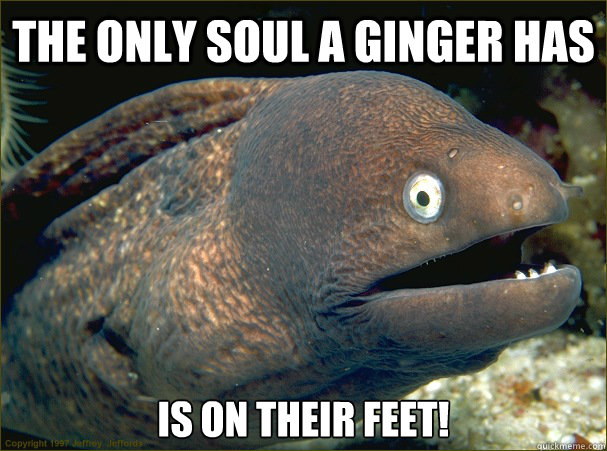 The only soul a ginger has is on their feet!  Bad Joke Eel