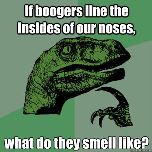 If boogers line the insides of our noses, what do they smell like? - If boogers line the insides of our noses, what do they smell like?  Philosoraptor