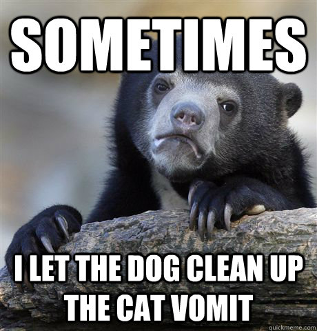 Sometimes I let the dog clean up the cat vomit - Sometimes I let the dog clean up the cat vomit  Confession Bear