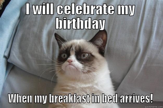 I WILL CELEBRATE MY BIRTHDAY WHEN MY BREAKFAST IN BED ARRIVES! Grumpy Cat