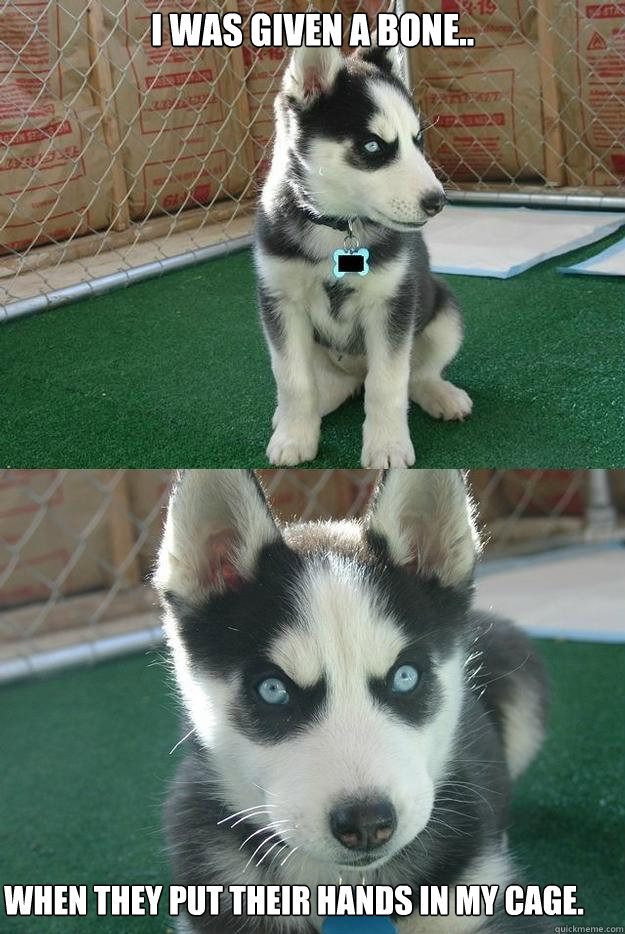 i was given a bone.. when they put their hands in my cage.  Insanity puppy