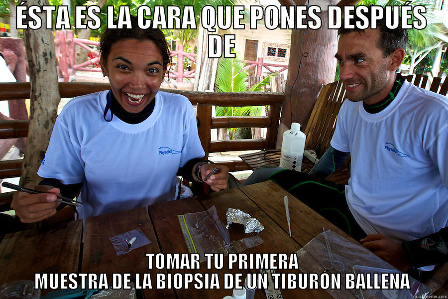 biologo marino meme - ÉSTA ES LA CARA QUE PONES DESPUÉS DE TOMAR TU PRIMERA MUESTRA DE LA BIOPSIA DE UN TIBURÓN BALLENA Misc