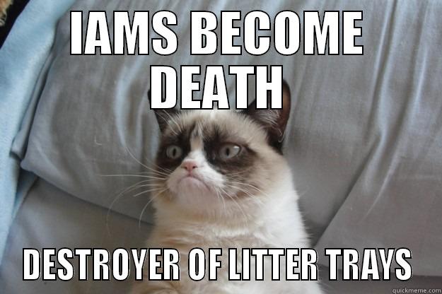 IAMS BECOME DEATH DESTROYER OF LITTER TRAYS Grumpy Cat