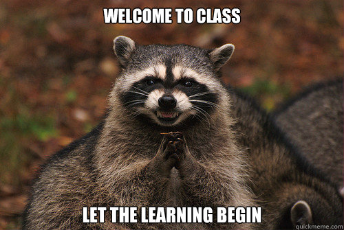 Welcome to class Let the learning begin - Welcome to class Let the learning begin  Insidious Racoon 2