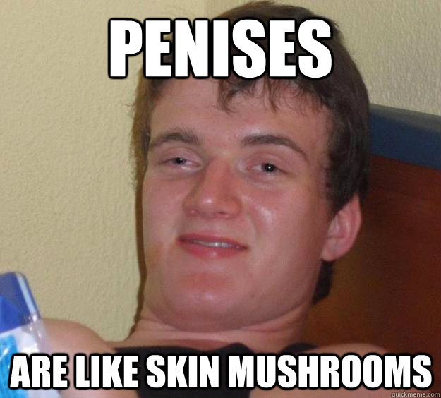 penises are like skin mushrooms  10 Guy