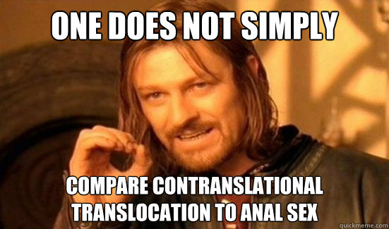 One Does Not Simply compare contranslational translocation to anal sex  Boromir