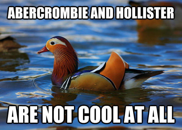 ABERCROMBIE AND HOLLISTER ARE NOT COOL AT ALL  Fashion Advice Mallard