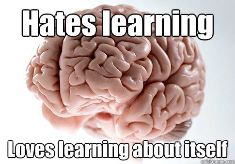 Hates learning Loves learning about itself   Scumbag Brain