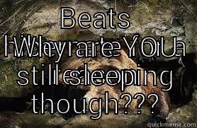 Why are you still sleeping - BEATS HIBERNATE FOR A REASON WHY ARE YOU STILL SLEEPING THOUGH??? Misc