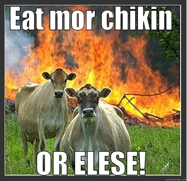 Chick-fil-a Advertisement - EAT MOR CHIKIN OR ELESE! Evil cows