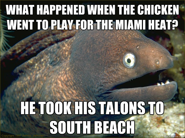 What happened when the chicken went to play for the Miami Heat? He took his talons to South Beach  Bad Joke Eel
