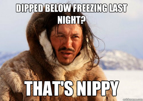 dipped below freezing last night? that's nippy  