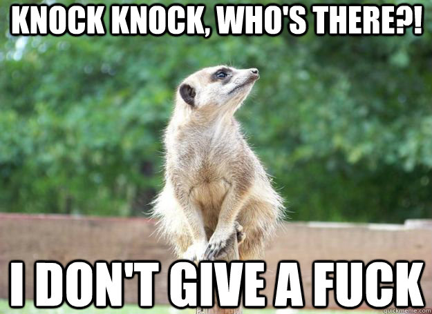 knock knock, who's there?! i don't Give a fuck  Unfriendly Meerkat