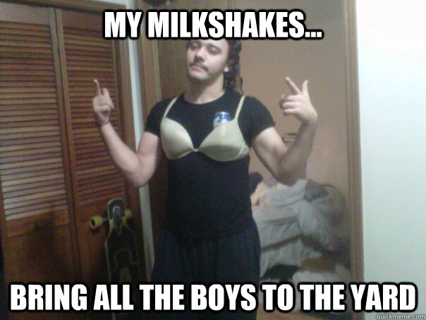 my milkshakes... bring all the boys to the yard  