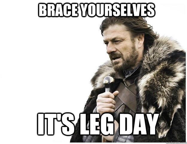 Brace yourselves it's leg day - Brace yourselves it's leg day  Imminent Ned