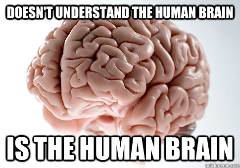 DOESN'T UNDERSTAND THE HUMAN BRAIN IS THE HUMAN BRAIN   Scumbag Brain