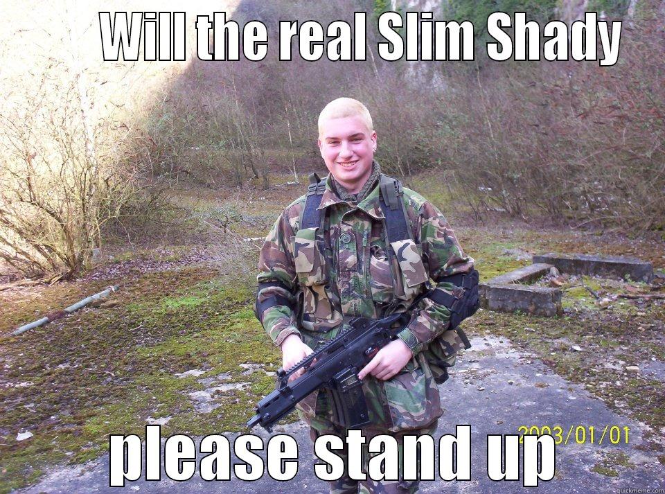 EMINEM LLLL -        WILL THE REAL SLIM SHADY  PLEASE STAND UP Misc