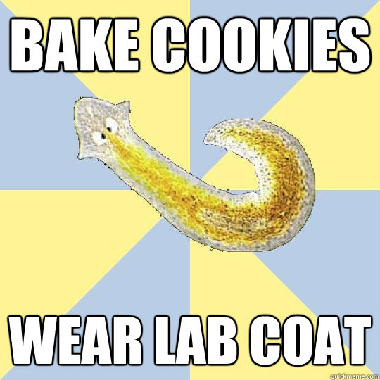 Bake cookies Wear lab coat - Bake cookies Wear lab coat  Bio Major Planarian