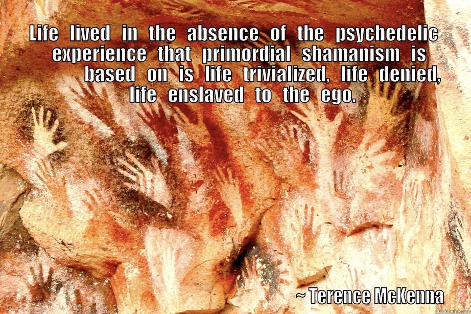                                                                                                                                           LIFE   LIVED   IN   THE   ABSENCE   OF   THE   PSYCHEDELIC                       EXPERIENCE   THAT   PRIMORDIAL   SHA                                                                                     ~ TERENCE MCKENNA Misc