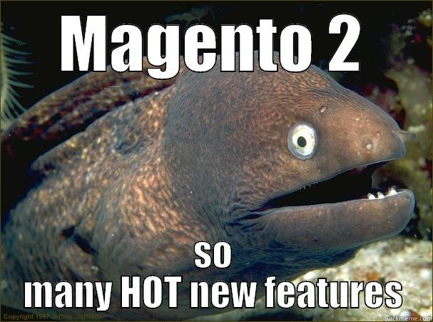 MAGENTO 2 SO MANY HOT NEW FEATURES Bad Joke Eel