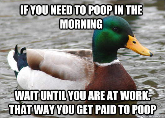 If you need to poop in the morning Wait until you are at work. That way you get paid to poop - If you need to poop in the morning Wait until you are at work. That way you get paid to poop  Actual Advice Mallard