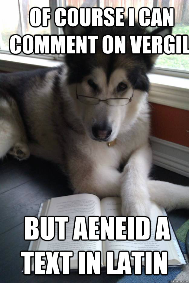  Of course I can comment on Vergil  but Aeneid a text in Latin  Condescending Literary Pun Dog