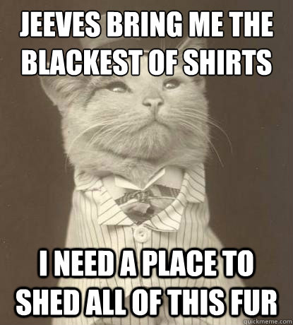 JEEVES BRING ME THE BLACKEST OF SHIRTS I NEED A PLACE TO SHED ALL OF THIS FUR  Aristocat