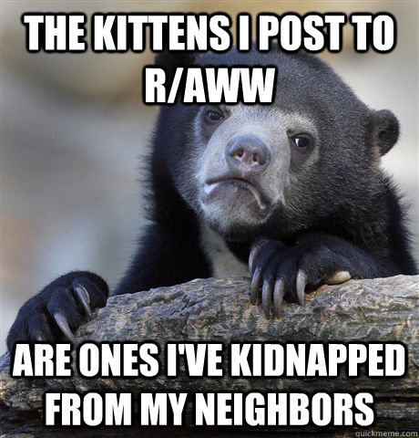 the kittens i post to r/aww Are ones I've kidnapped from my neighbors  Confession Bear