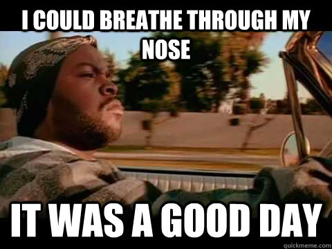 I could breathe through my nose it was a good day  Ice Cube