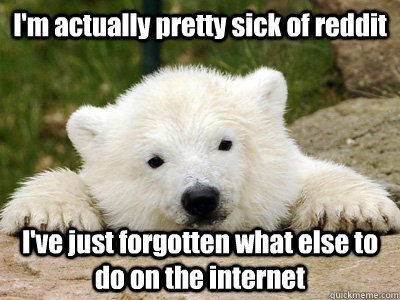 I'm actually pretty sick of reddit I've just forgotten what else to do on the internet  Popular Opinion Polar Bear